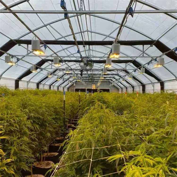 Cheap medical hemp growing lights blackout greenhouse light deprivation greenhouse medical greenhouse