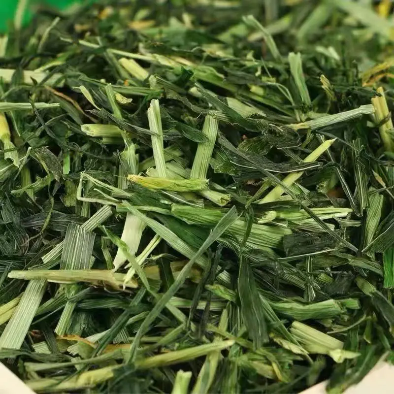 Barley Grass Rabbit Forage Section Guinea Pigs Dutch Chinchillas 250g Pet Food