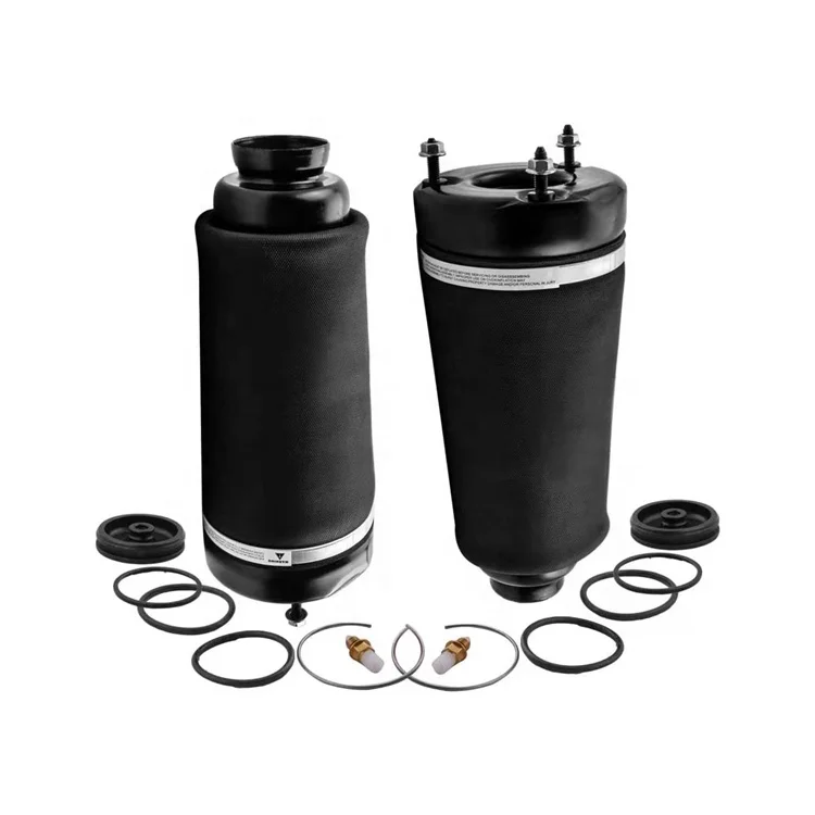 2513203013 2513205613 Auto parts Rear Air Suspension Struts for Benz R-Class W251 Air Spring repair kit
