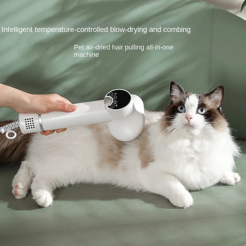 Pet Hair Dryer
