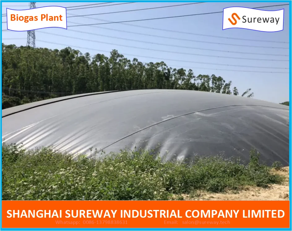 HDPE Geomembrane Lagoon Animal Waste Biogas Digester Plant