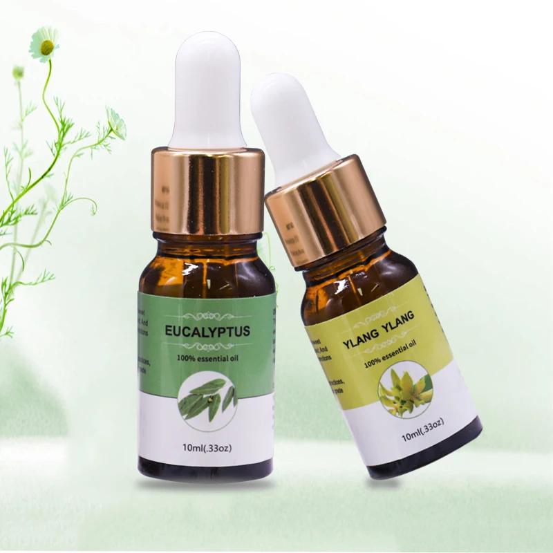 Free Sample Organic Eucalyptus Fragrance Oil 40 Scents Custom Logo Soothes Nerves Skin 12 Scents Essential Oil Kit Gift Box