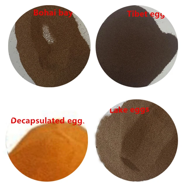 artemia Goldfish Worms Dried Mealworm powder for feed Koi King Betta Ornamental Fish Brine Shrimp Eggs Fish Food  in aquacul