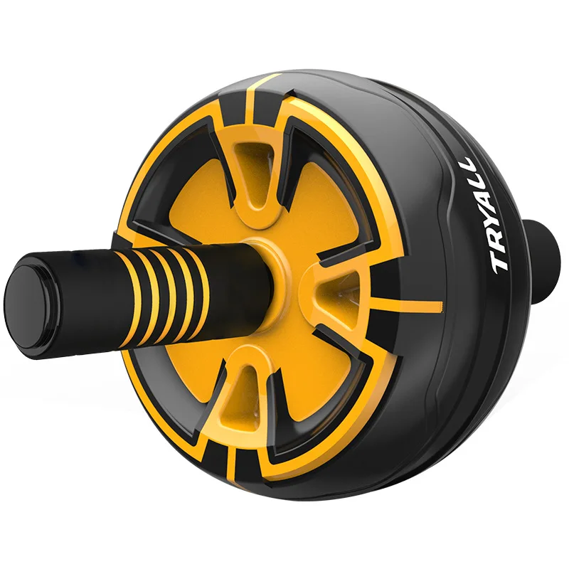 One-Piece Home Fitness Ab Roller Wheels Equipment for Women Beginner-Optimized for Strengthening Abs and Reducing Belly Fat