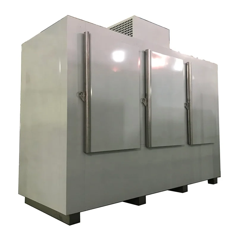 Knock Down Stainless Steel Digital Controller Air Cooling Outdoor Ice Storage Cold Room Trade