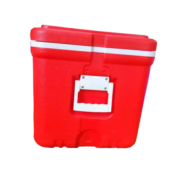 
New Insulin Portable Refrigerated Camping Medical And Fresh-keeping Storage Cooler Box 