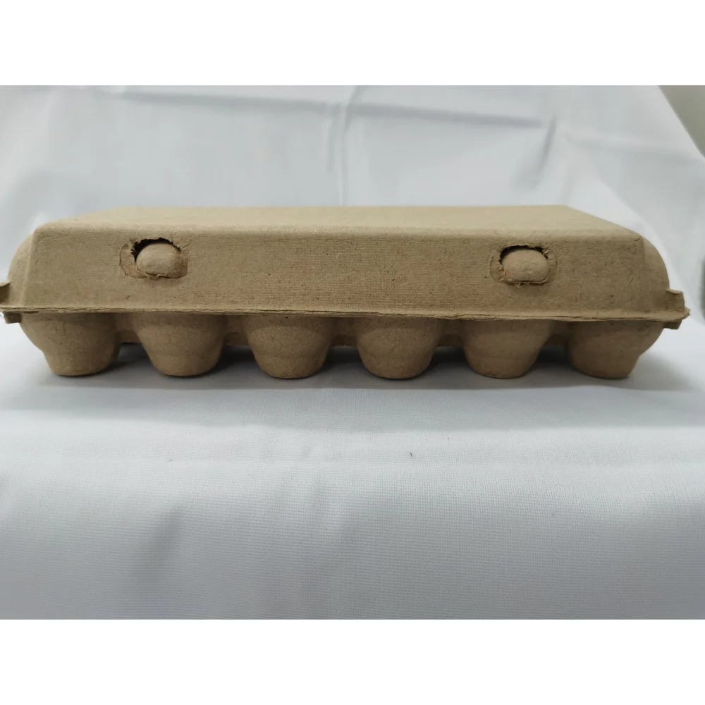 Hot Sale Factory Wholesale Disposable6/ 10 /12/ 15/ 30 cells Paper jumbo quail egg cartons