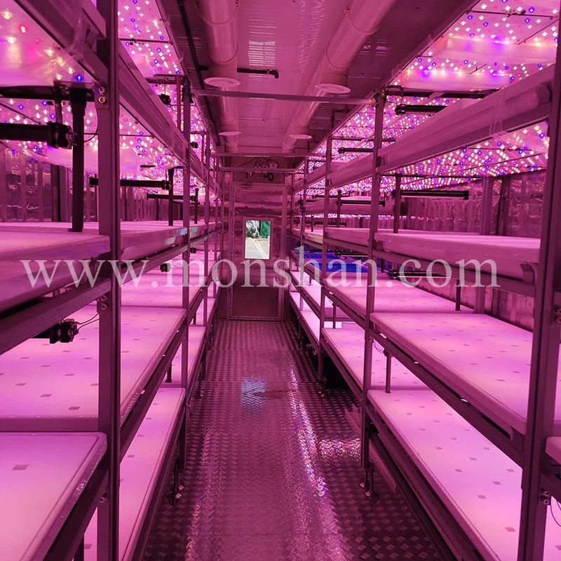 Shipping Container Plant Factory For Hydroponic Microgreen Farm