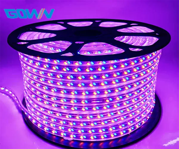 110V 220v Double Color Temperature Flexible CCT Adjustable 120 led IP67 IP68 Waterproof SMD5730 Led Strip