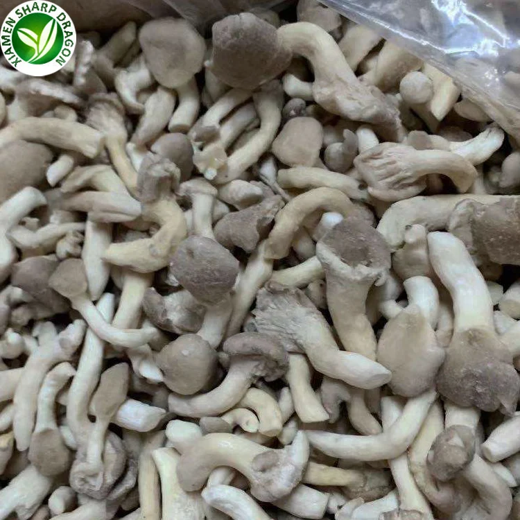 Frozen IQF White Pearl Grey brown phoenix Oyster logs Fungi P Pleurotus Ostreatus Mushroom Sliced Winter elm Cultivating Freeze