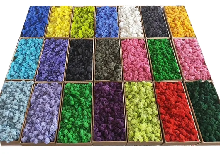 Wholesale 500G Long Life Preserved Moss Use To Make Stabilize Moss preserved Wall artificial moss grass wall for decoration