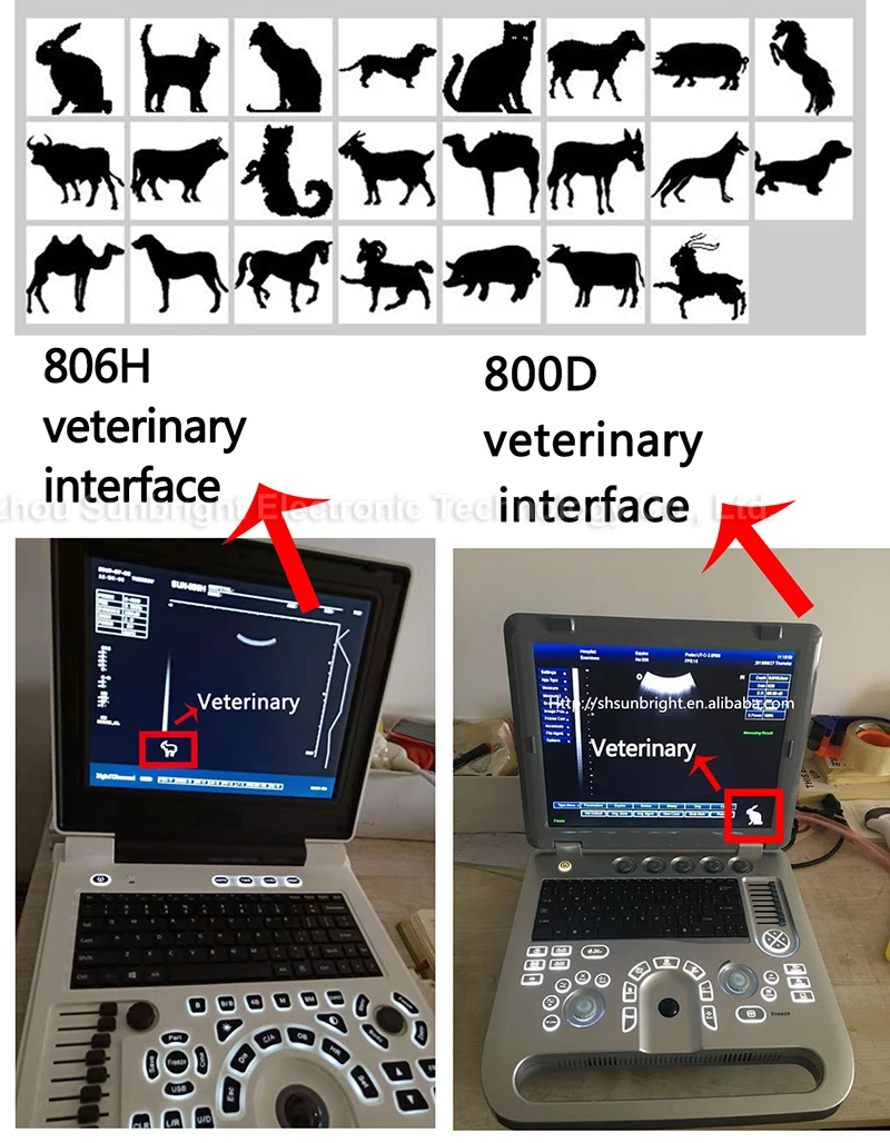 High quality portable goat veterinary ultrasound equipment with convex probe in standard configuration