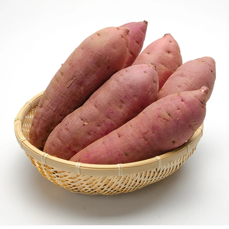 
Japanese purple export low heat fresh sweet potato for wholesale 