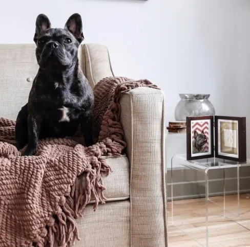 2020 new dog or cat paw print pet souvenir photo frame on the desktop