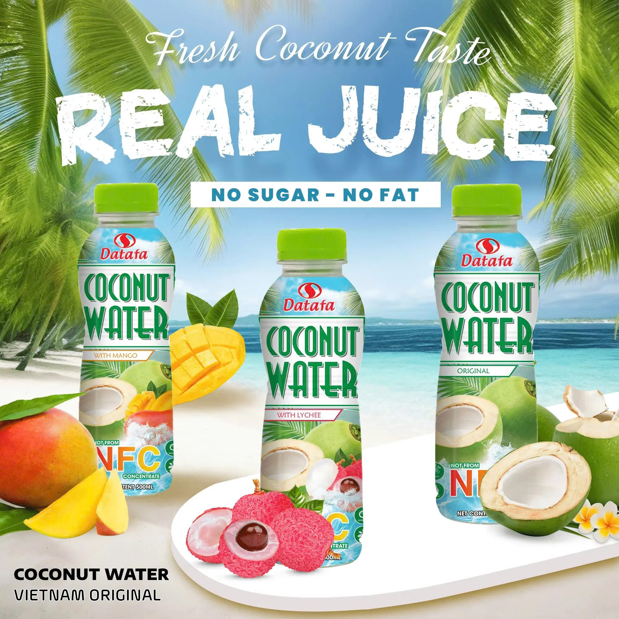 Coconut Drink Reasonable Price Coconut Water Drink Juice Concentrate Oem Service Carton Box Vietnam Product Manufacturer