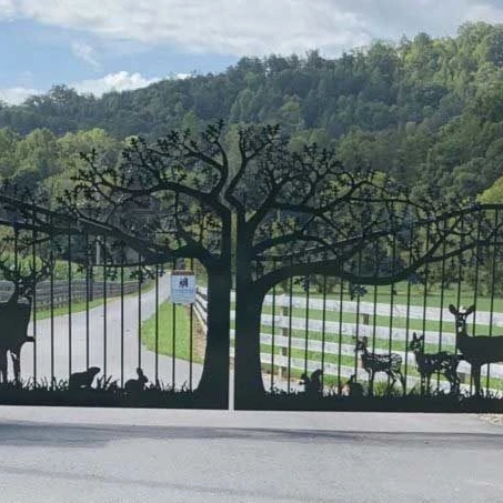 Automatic swing gate opener  main iron gate design frame make sliding shoe cabinet bifold door hardware