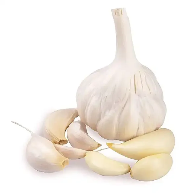 High Quality Low Price Shanxi Guochen fresh single clove garlic g1 garlic seed crops from China sale for Pakistan vietnam