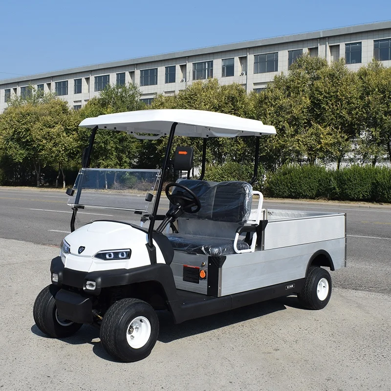 2 seater with cargo box golf cart elektrischgarten  CE approved golf utility cart Electric Resort style buggy