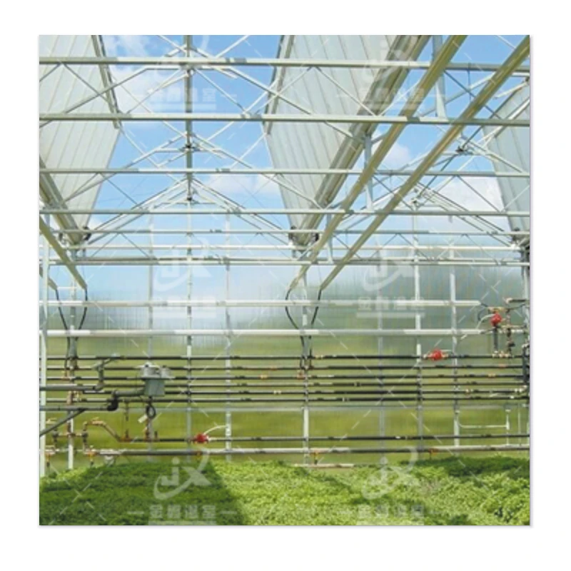 The Phoenix Greenhouses - Rise with Affordability, Durability and Wind Resistance