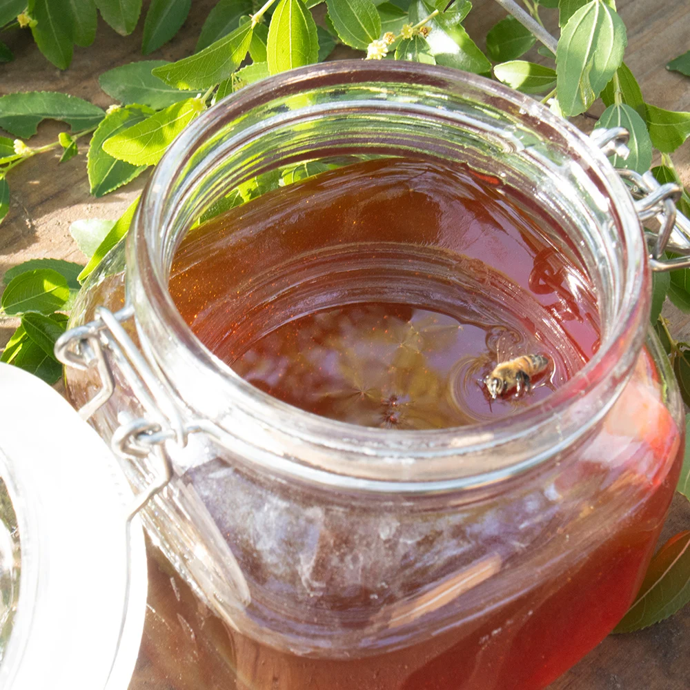 Sidr Honey top Grade 100% Pure from mountain