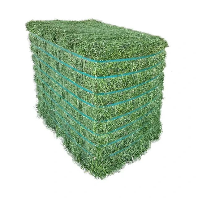 High-Grade Raw Best Alfalfa Hay Feed in Bulk Freshly Harvested and Packed for Nutrient-Rich Wholesome Food Experiences