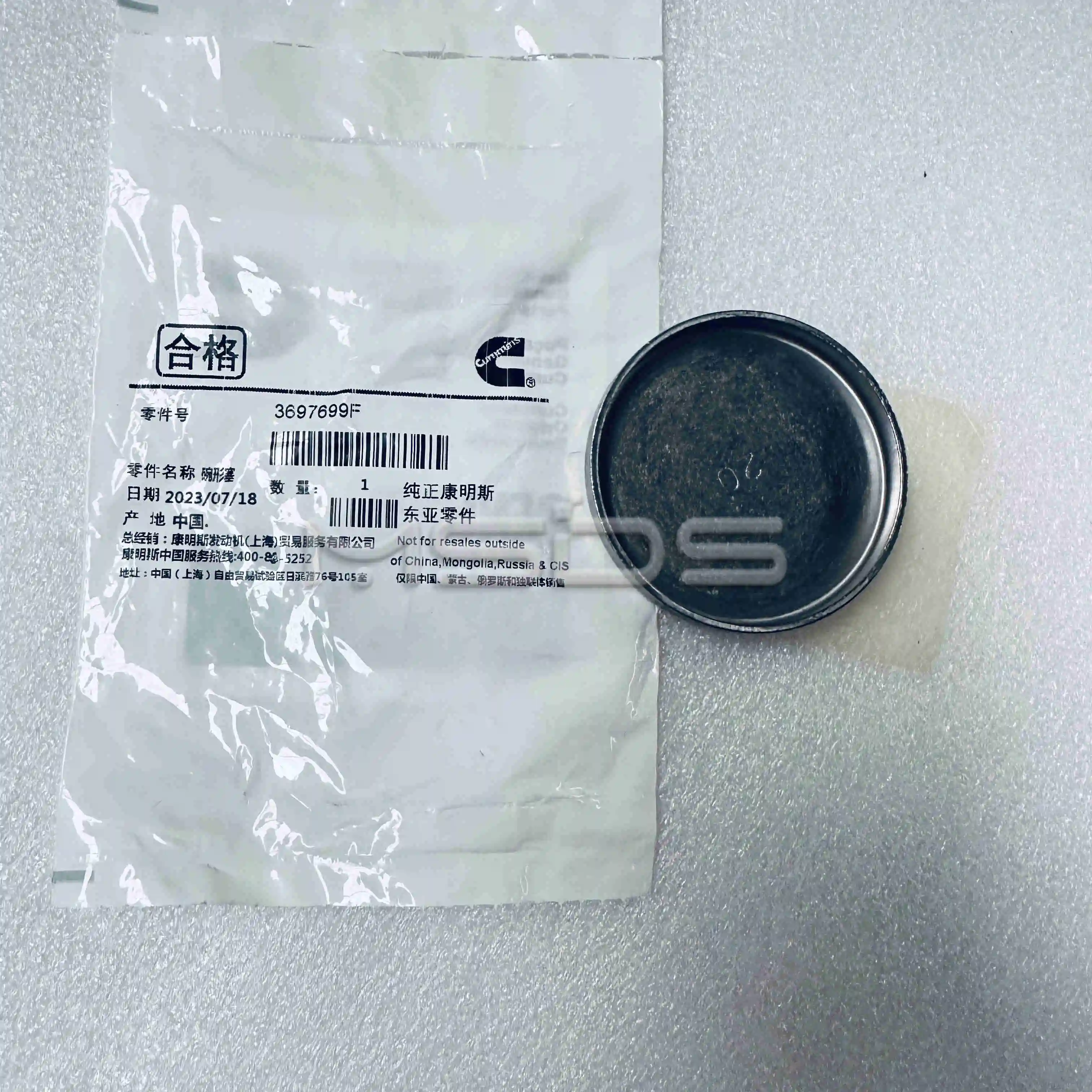 ISGE Cummins Engine Parts EXPANSION PLUG 3697699