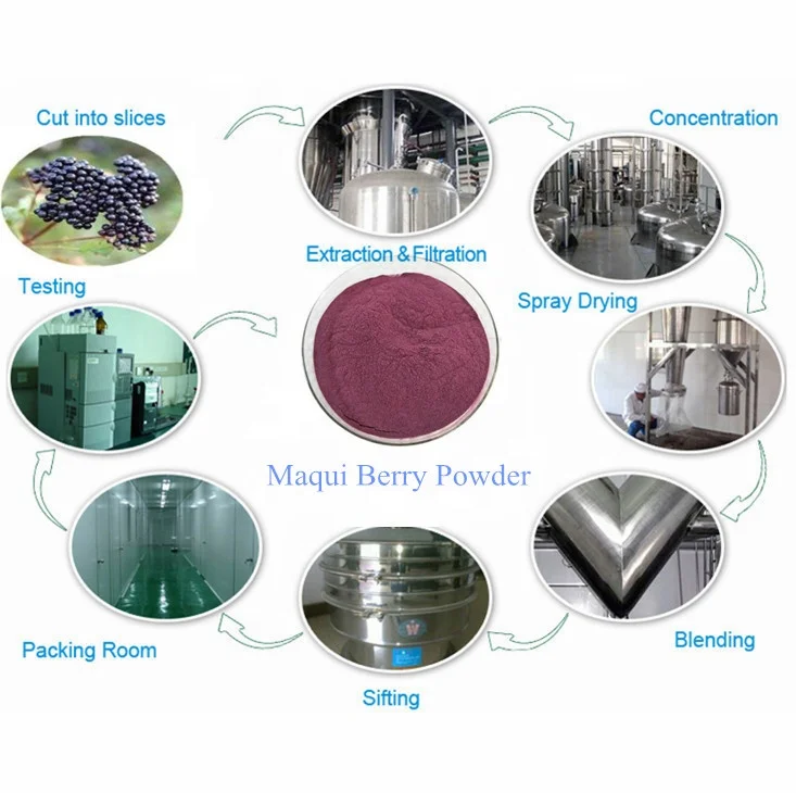 Wholesale Maqui Fruit Powder Organic 98% Maqui Berry Extract Powder