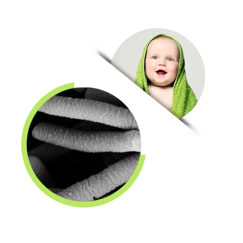 lactobacillus acidophilus bacteria powder for probioitcs capsules tablets