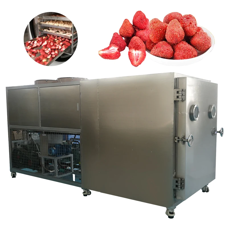 Factory Food Freeze Drying Equipment Fruits Vegetables Meat freeze drying Industrial Vacuum Freeze Dryer Price