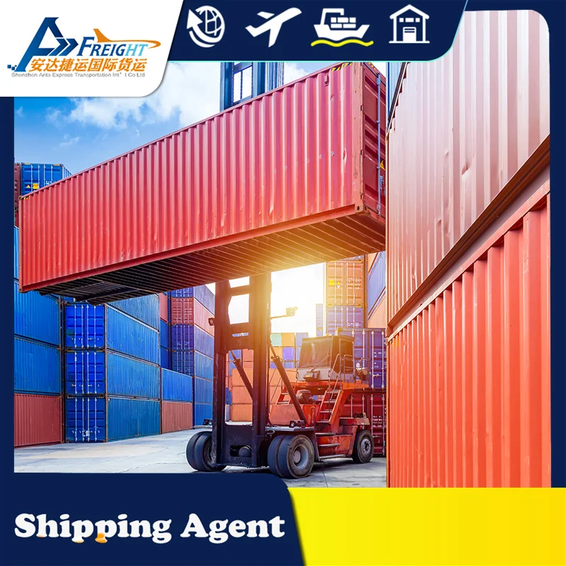 EXW FOB FCL LCL sea freight China Shipping To Saudi Arabia  Israel Palestine Lebanon  Agent freight  DDP