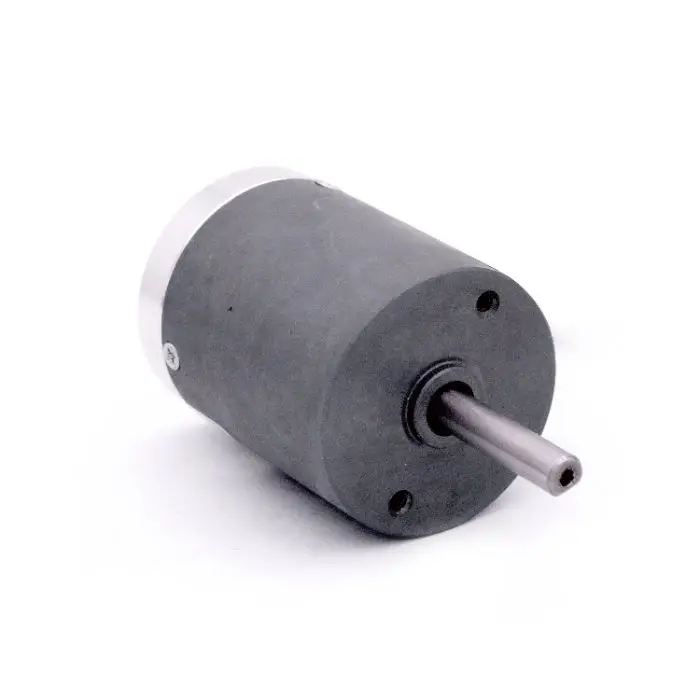 High Torque  24v  48v Brushless Electric Dc Machine Motor for Lawn mower