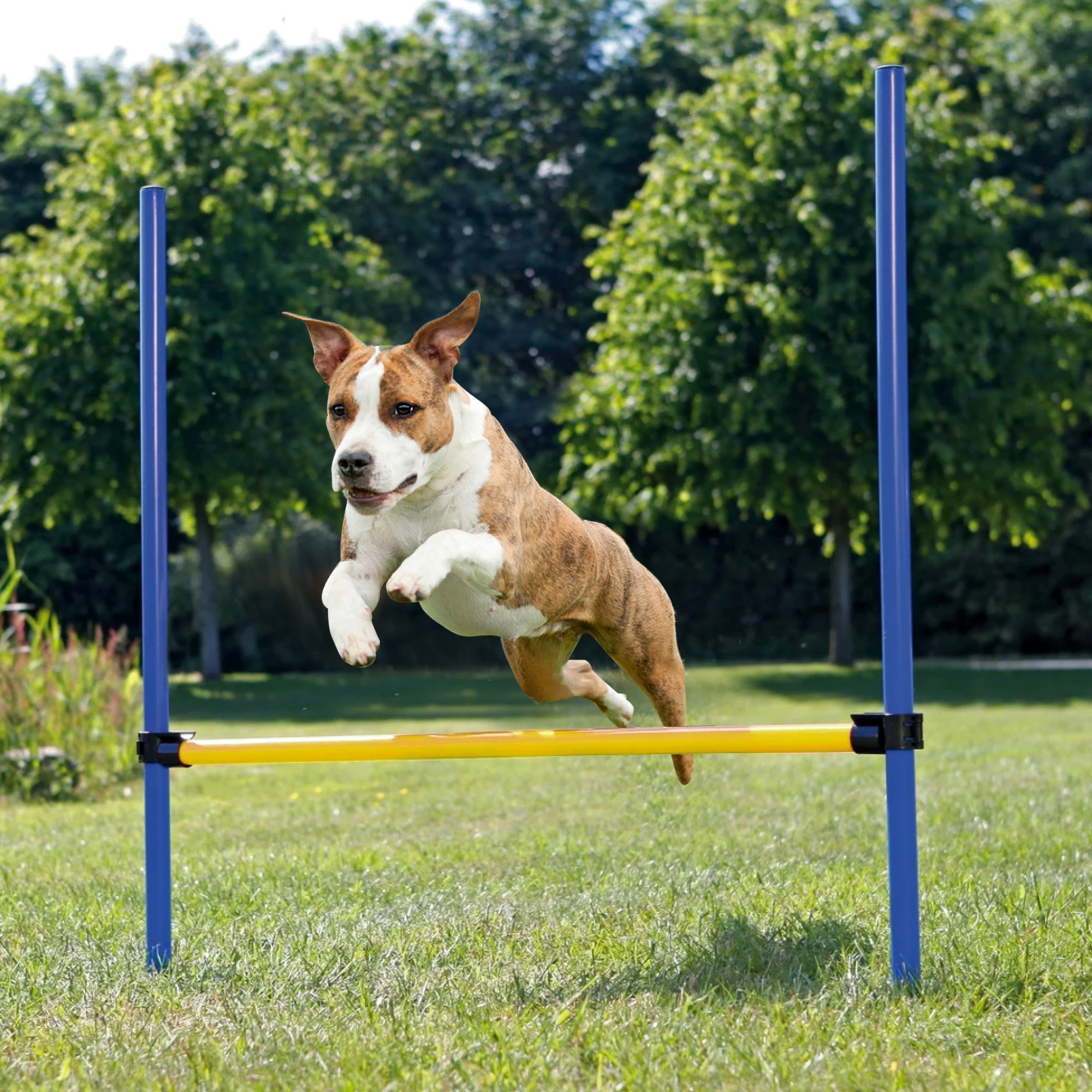 
Pawise Pet Dogs Outdoor Games Agility Exercise Training Ajustable Height Jump Hurdle Bar Training Equipment For Dogs 