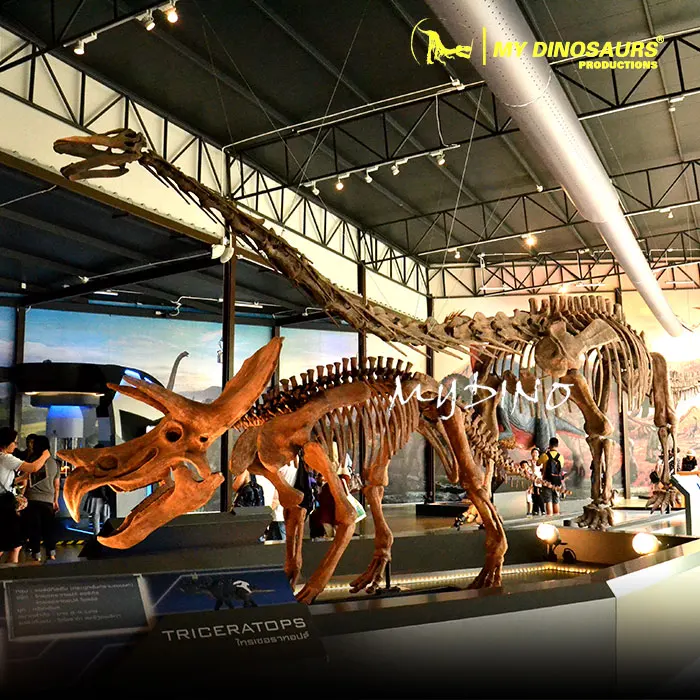 Каркас динозавра из стекловолокна скелет