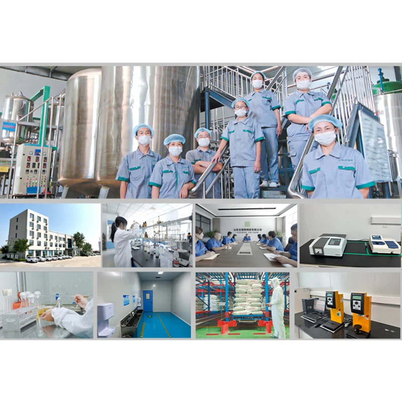 Thickening Agent Wholesale Gelatin Factory ISO Bulk Gelatin Granule Granules