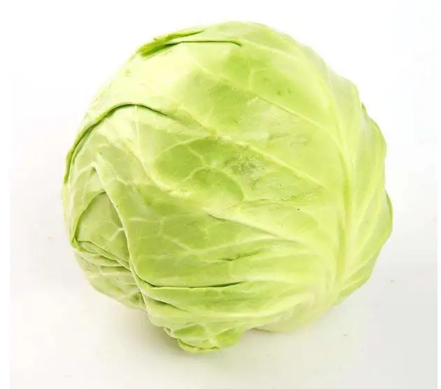 High quality hybrid cabbage seeds with competitive price for sale