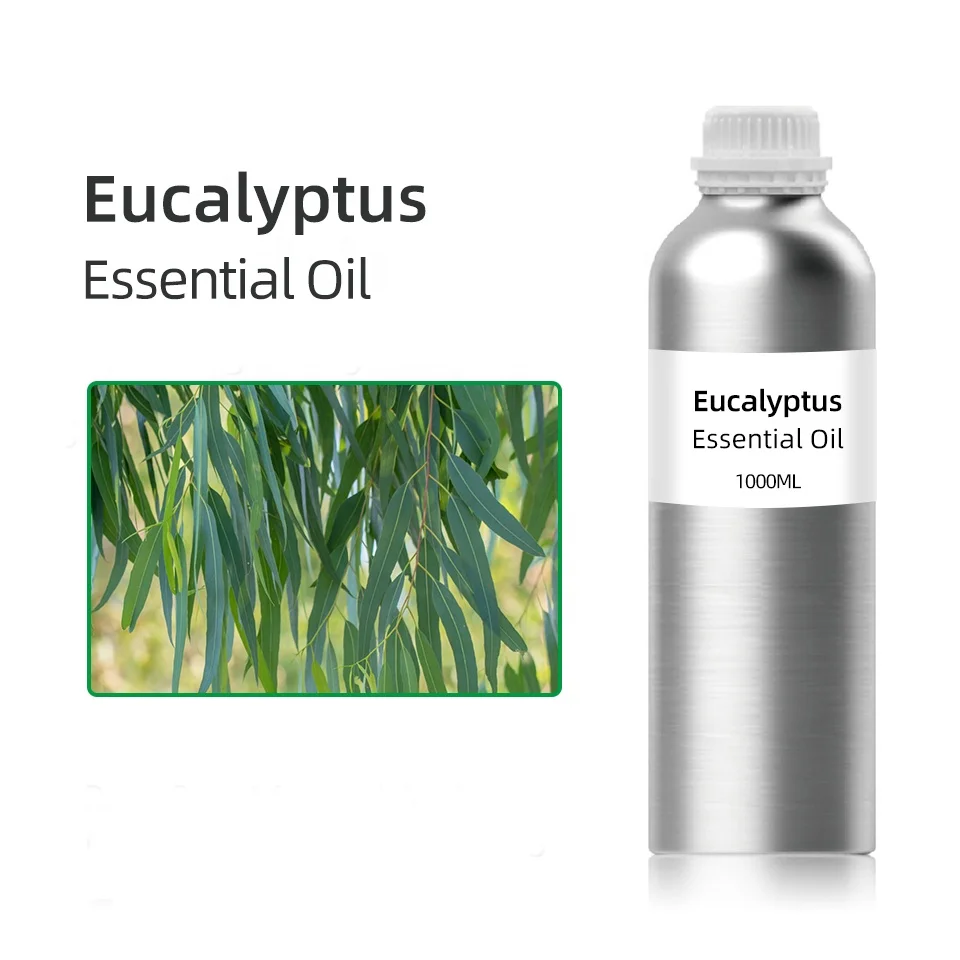 bulk wholesale price pure natural toothpaste flavor perfume oil Eucalyptus globulus oil eucalyptus oil 80% for sale