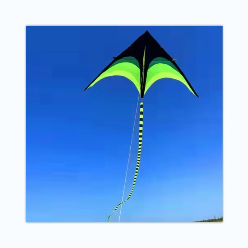Wholesale cheap long-tail triangular kite outdoor sports children s toys nylon prairie pattern kite