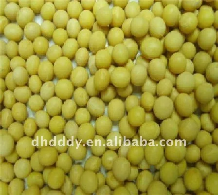 organic soybean