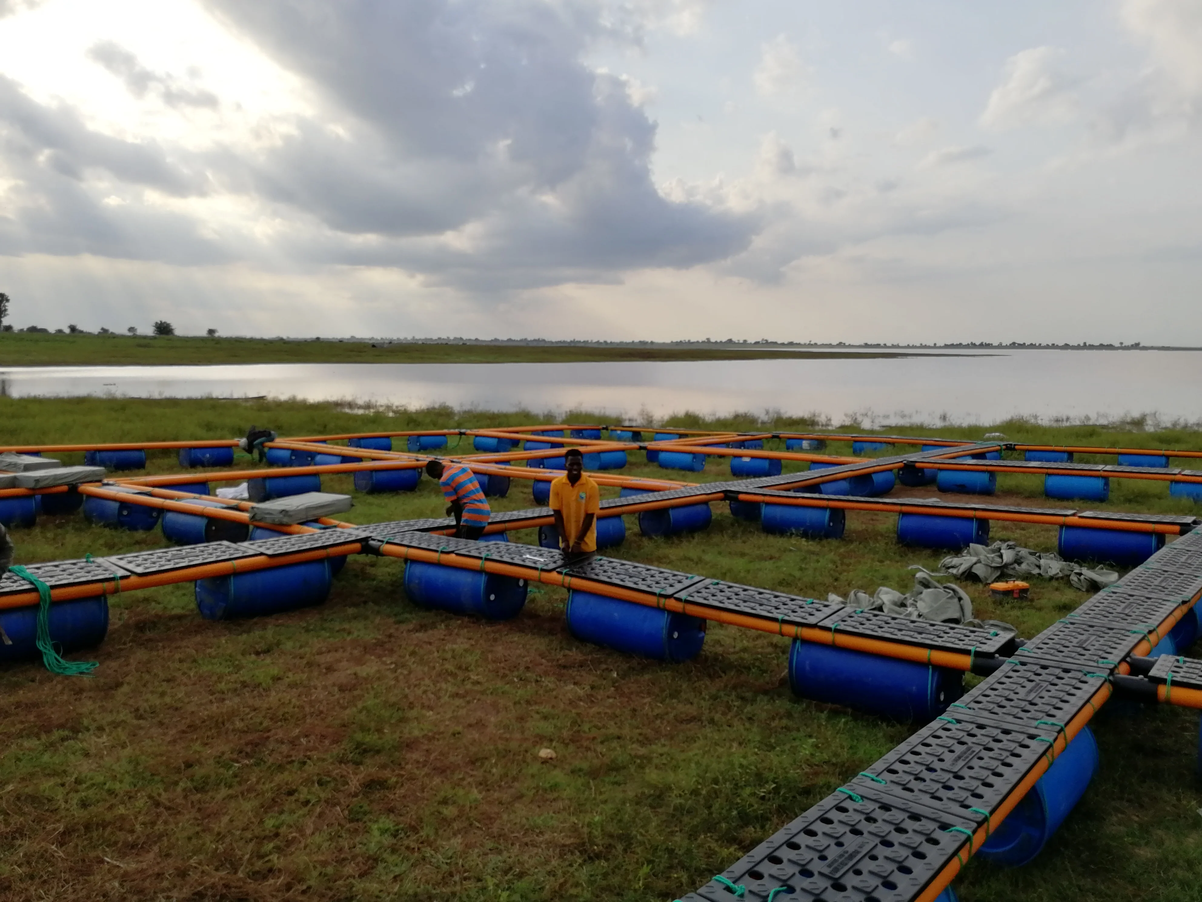 2019 HDPE плавающая клетка для рыбы осёрционной
