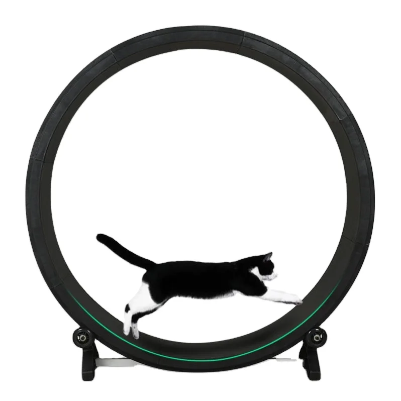 Pet Toy Fitness Weight Loss Device Inside Cat Running Wheel Inch Cat Wheel Exerciser Cat Treadmill Exercise Wheel