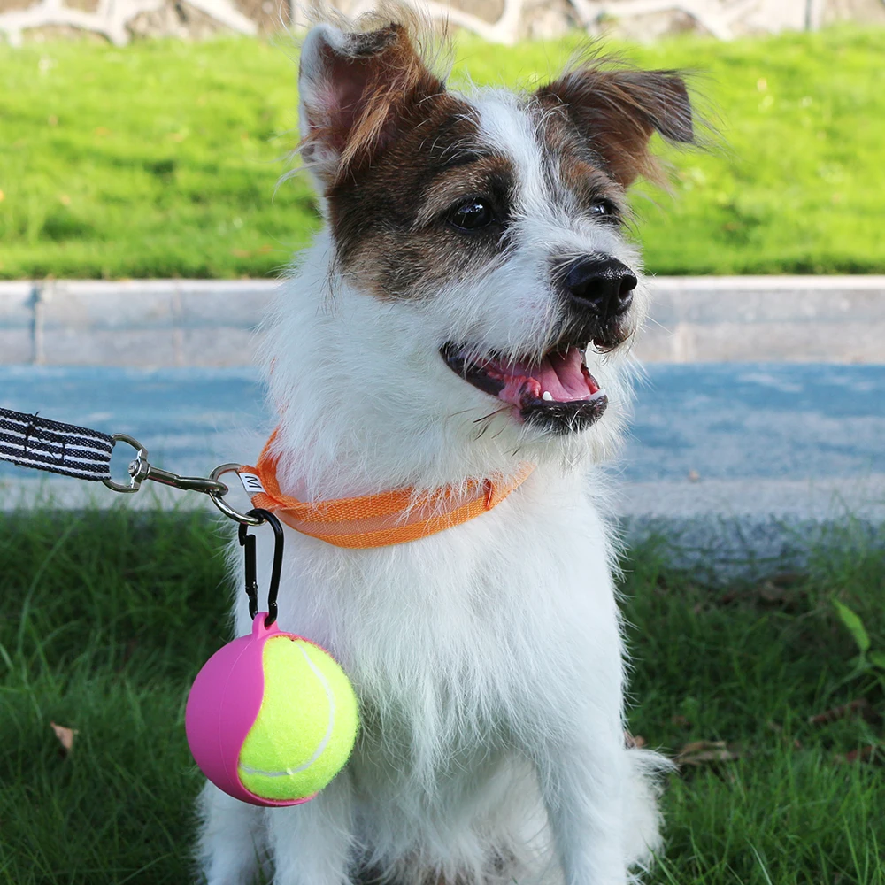 Custom Interactive & Movement 5cm Tennis Ball Sleeve Pet Toy Durable Chewing Toy with Ball Holder Strap for Dog Training