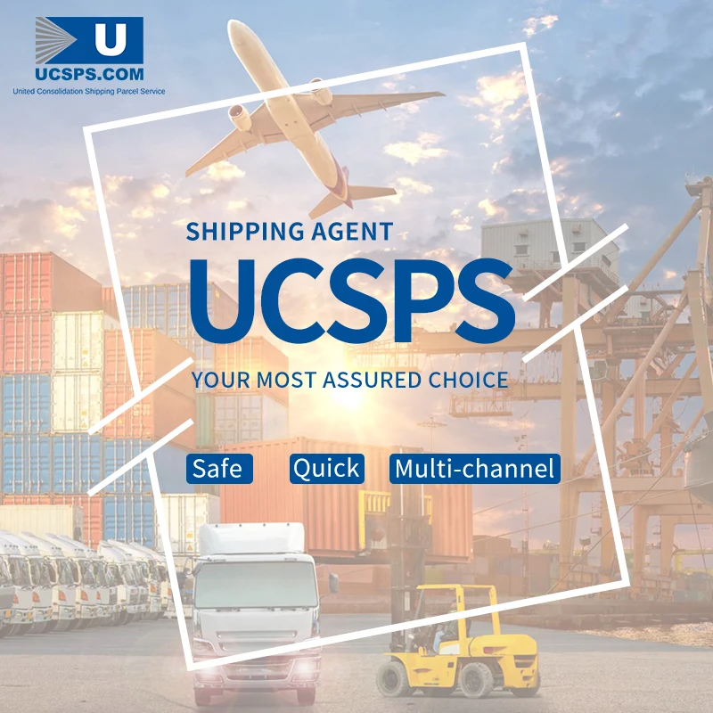 International Sea Freight Service Customs Clearance Service
