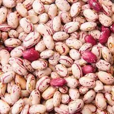 Healthy Foods 100% Hot Red Sugar Price Exporters Dry Long Shape Round Ship Round Light Speckled Kidney Pinto Beans