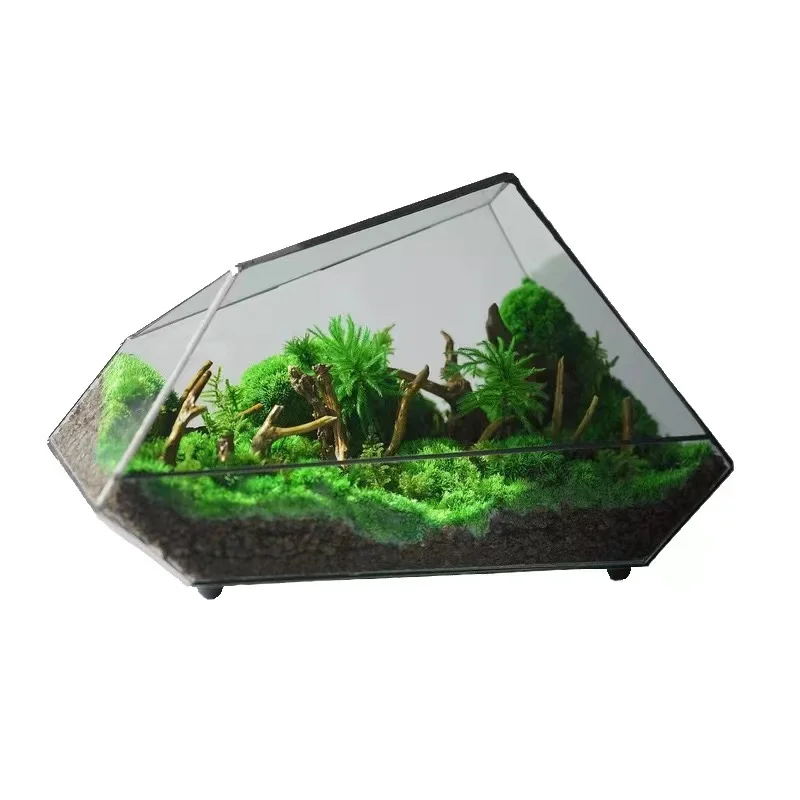Geometric Glass Terrarium and Glass Cube Hanging Terrarium