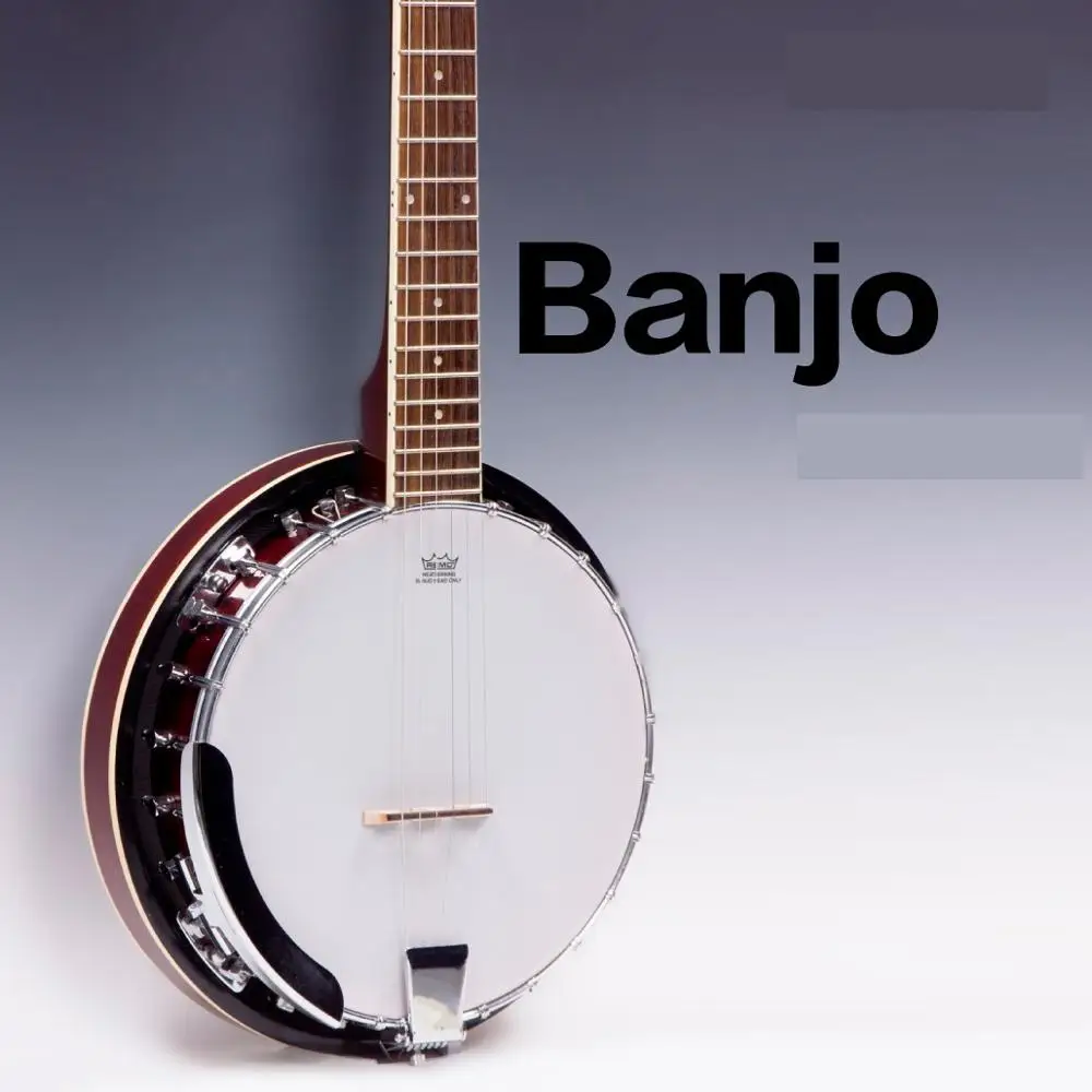 Weifang Rebon 6 string  banjo