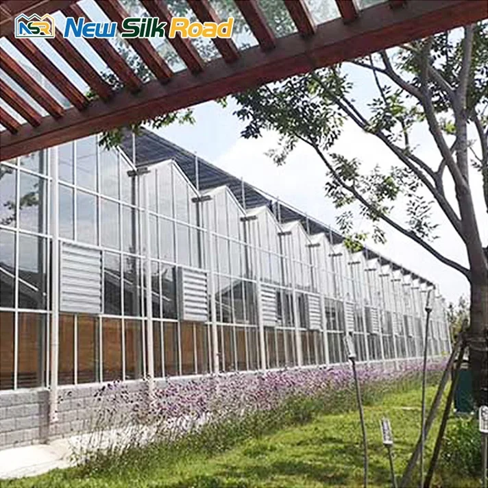 NSR Greenhouse Economical Multi-span Agricultural Commercial Glass Greenhouse Kits glass greenhouse for sale For Use