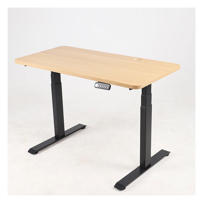 2023 New Pre-assemble Model Dual Motor Electric Table Fast Installation Ergonomic Height Adjustable Stand Up Office Desk Frame