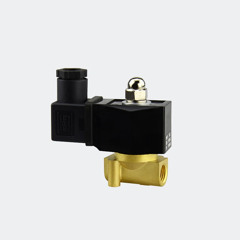 Hydraulic Electric 2 Position 2 Way DC24V Brass Solenoid Valve For Water