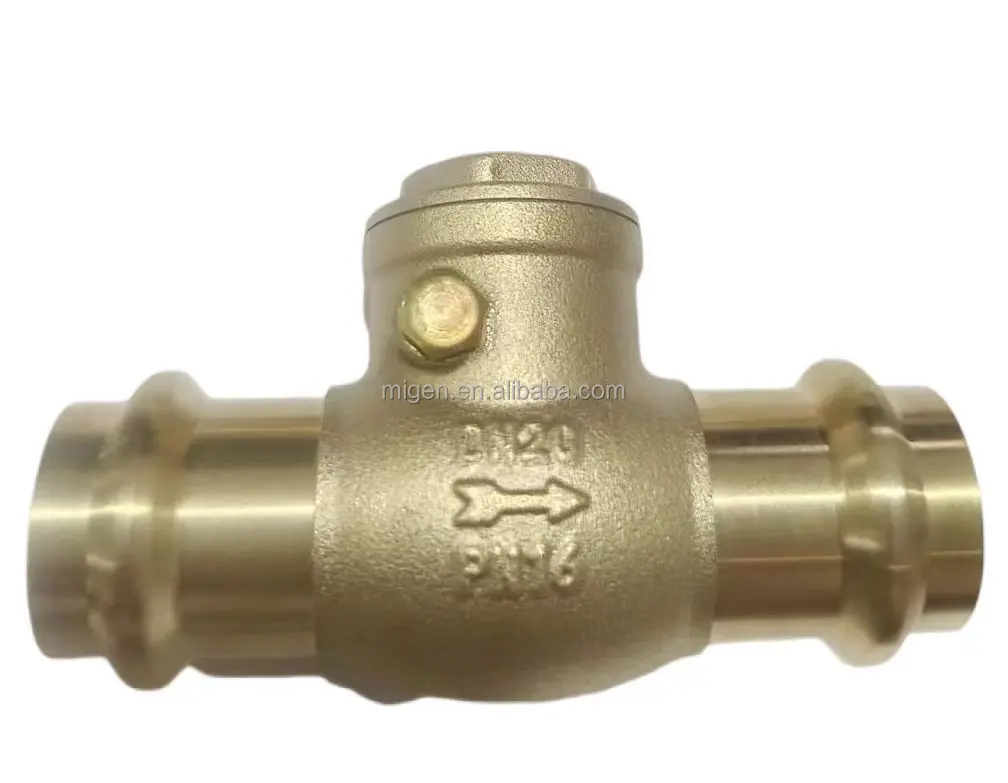 PN16  Connect Thread Of Check Valve Sanitary Pipe Fitting Double Clamp Quick