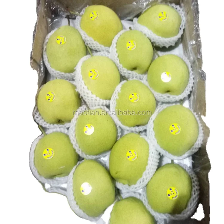 Шаньдун груша